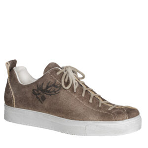 Innsbruck Gweih<span> - </span>ahorn, 7.5