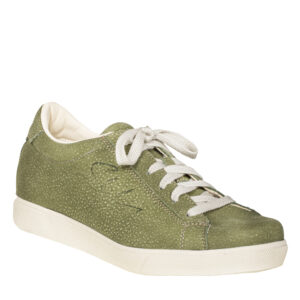 Mattsee<span> - </span>agave, 5